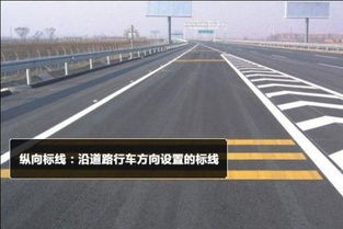 教你認(rèn)道路交通標(biāo)志線
